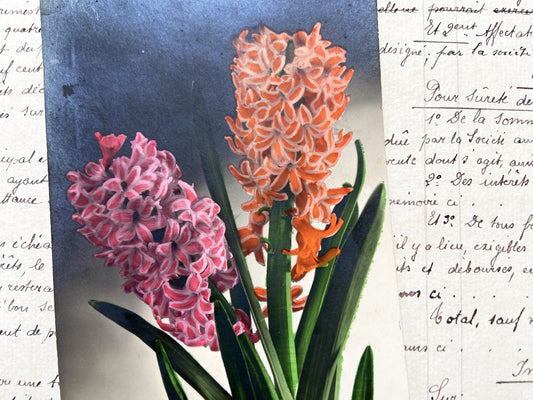 1930s - Antique Hyacinth Flowers Postcard - Botanical Floral Art Print - Vibrant Pink & Orange Blooms - Vintage Spring Decor
