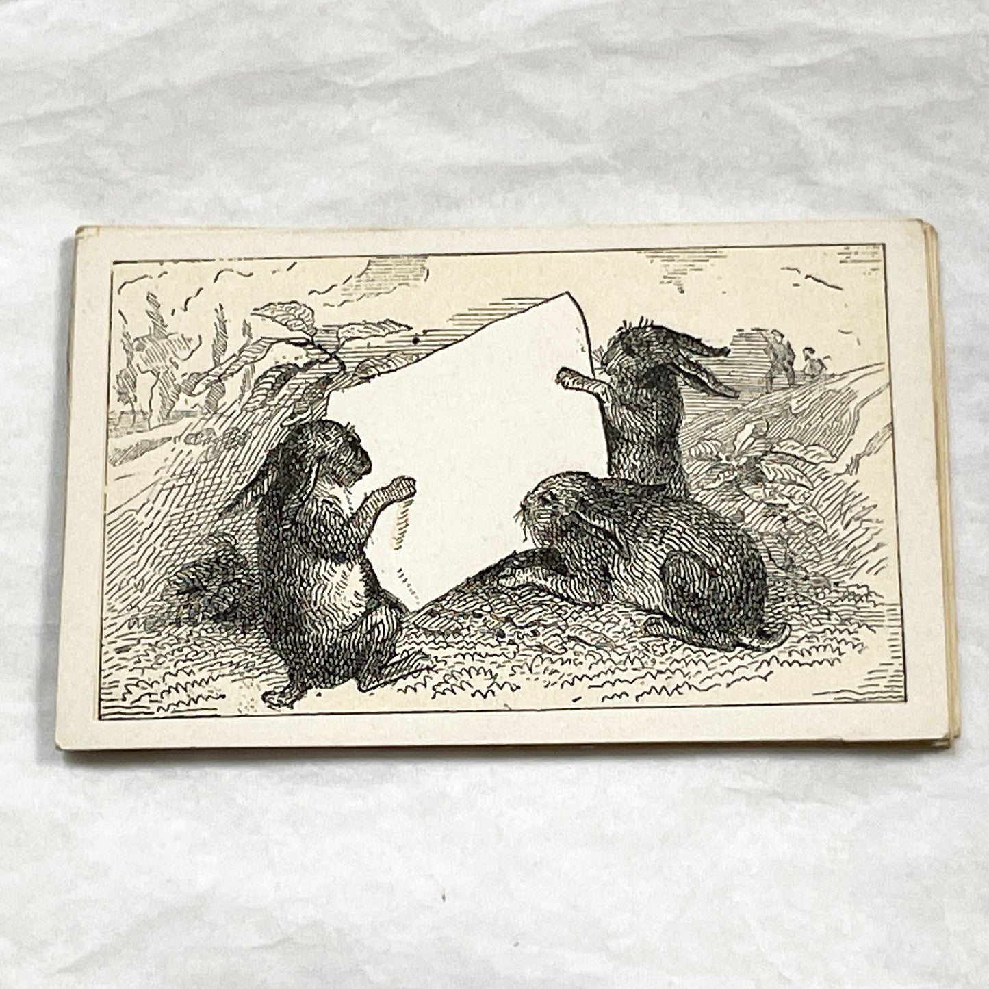 Late 19th - Fancy Card - Motto Card - Charming Rabbits Holding Blank Scroll - Victorian Ephemera - Unique Customizable Animal Illustration