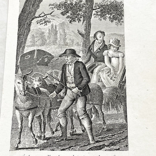 Early 19th - Antique French Print - Le Cabriolet Versé - Humorous Engraving - Rural Scene - Man Leading Donkey Cart - Passengers