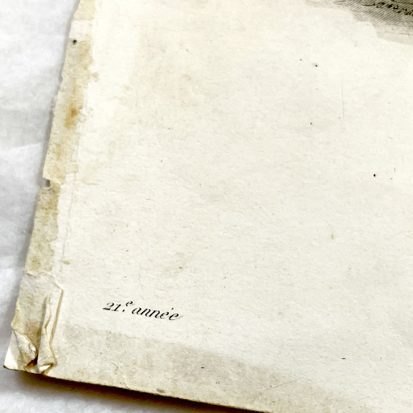 1850s - Exquisite French Fashion Plate from Journal des Demoiselles - Original Victorian Era Engraving - Elegant Ladies - Parisian Style