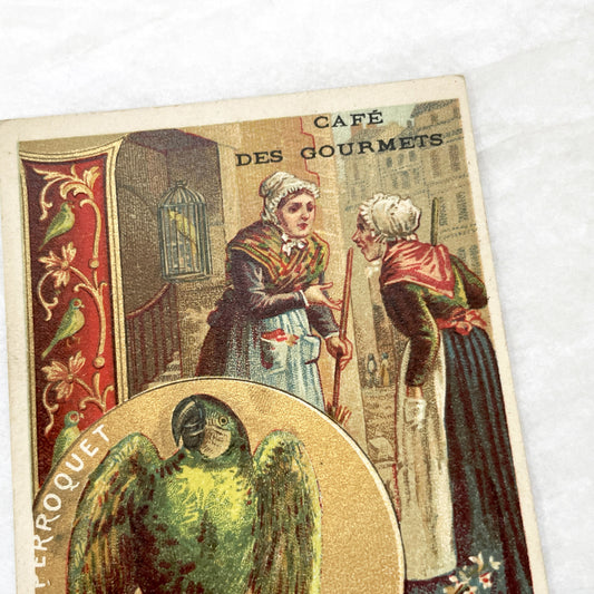 Late 19th - Vintage French Advertising Trade Card - Café Des Gourmets Product Promotion - Parrot - Parisian Street Scene - Chromolithography