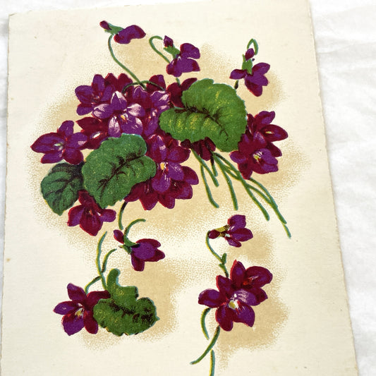 1940s - Vintage French Bonne Fête Postcard - Vibrant Purple Violets Floral Bouquet - Antique Greeting Card - Collectible Ephemera Gift