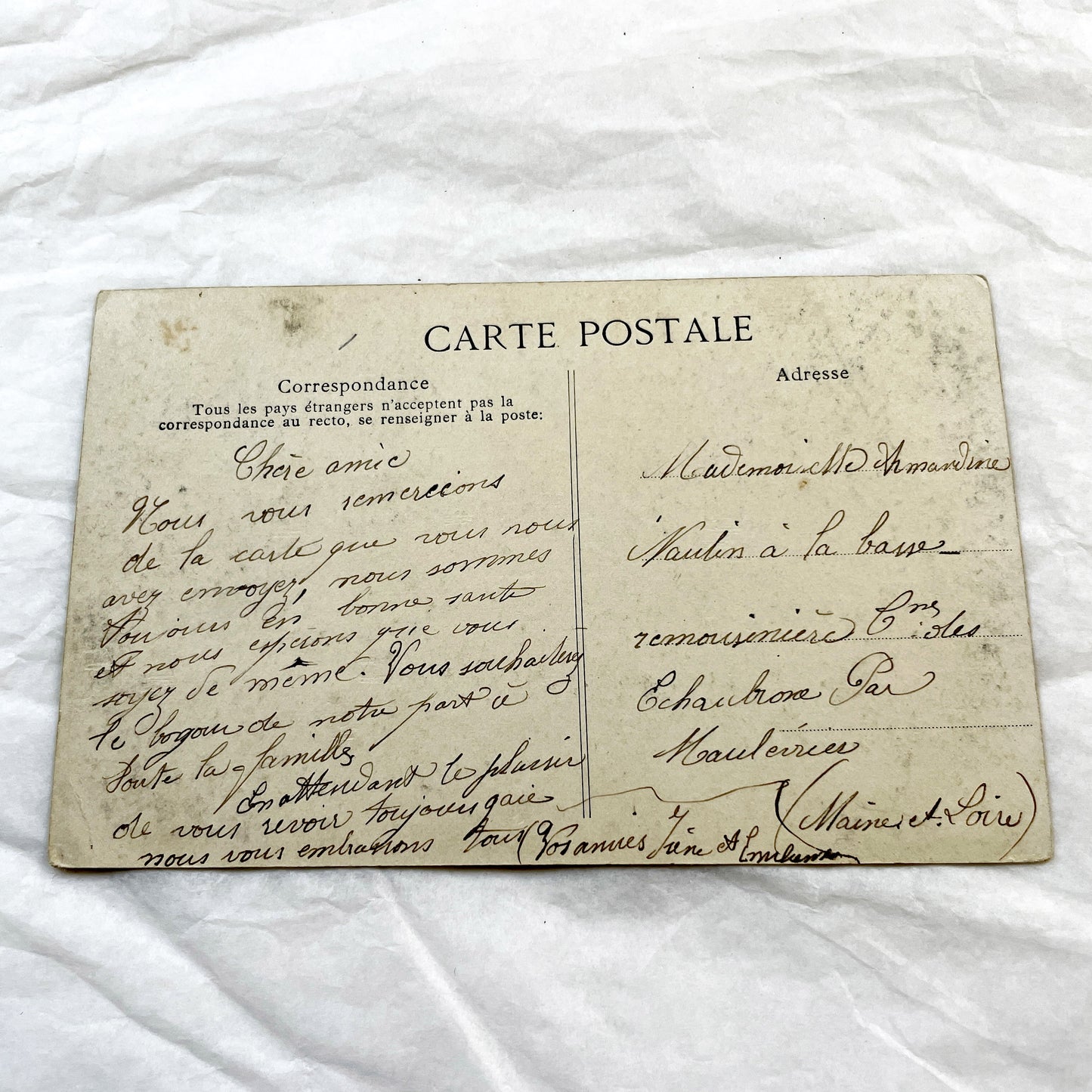 1910s - Antique French Postcard Amitié - Floral Friendship Greeting Card - Vintage Polka Dot Lettering Art Nouveau Ephemera