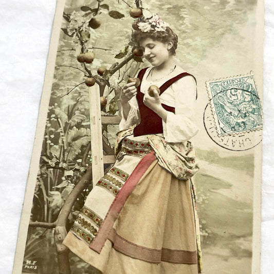 1900s - Antique French Postcard - Hand-Colored Woman Picking Apples On Ladder - Chateau-Gombert - Vintage Fruit Harvest Scene Photography