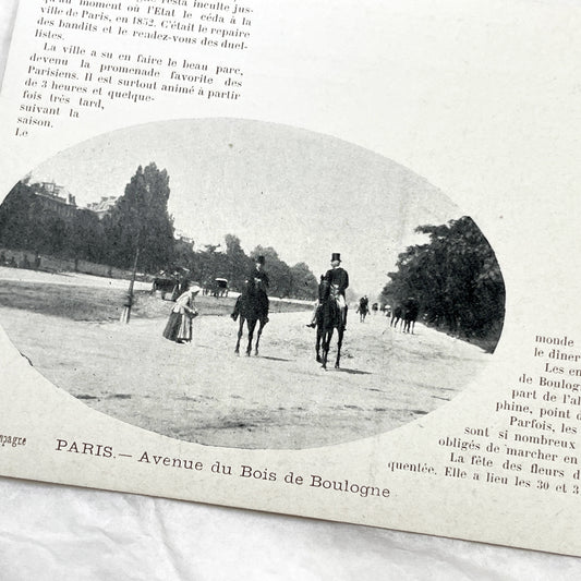 1900s - Vintage Photo Print - Bois de Boulogne Avenue - Paris - Horseback Riders - Elegant Promenade - French History