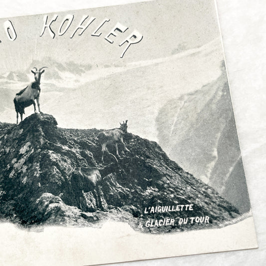 1900s - Cacao Kohler Advertising Postcard - French Alps Mountain Goats - L'Aiguillette Glacier du Tour - Vintage Alpine Scenery - Photograph
