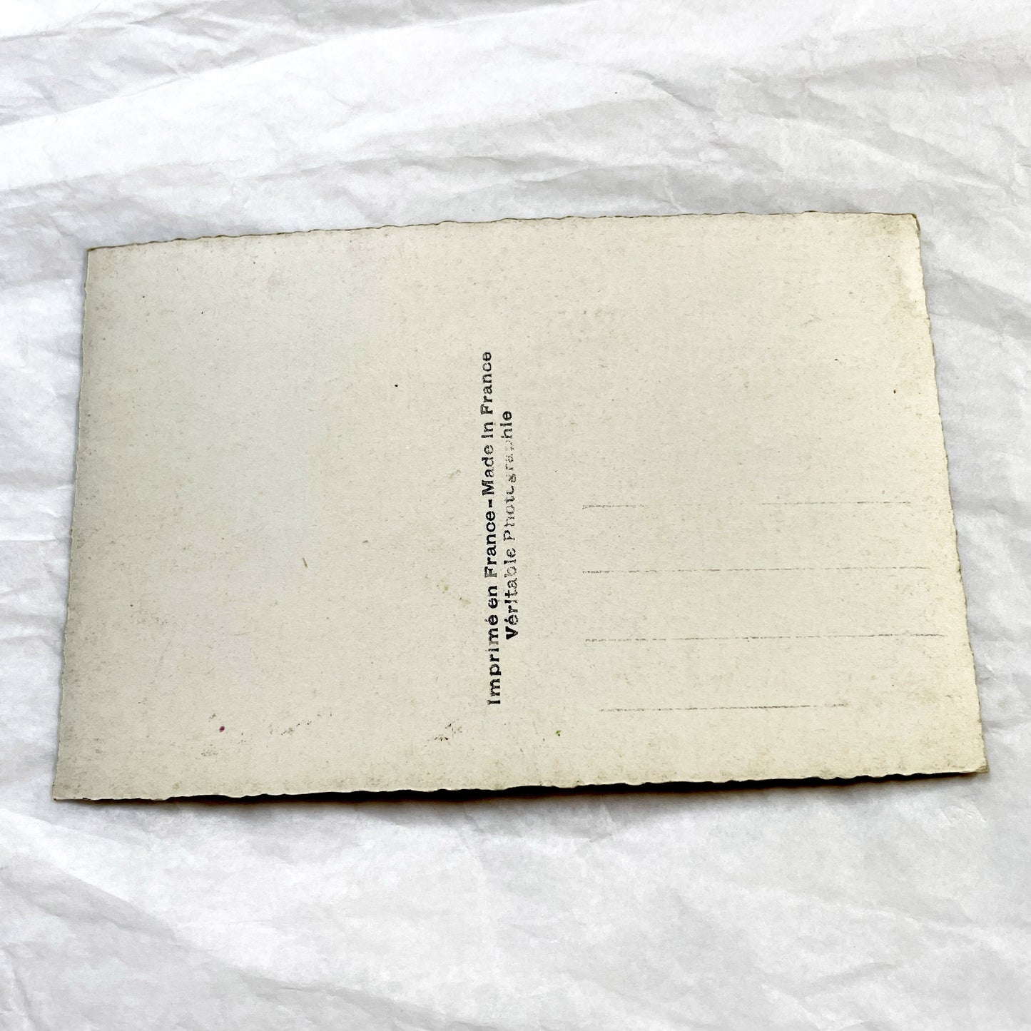 1910s - Vintage Azalea Rhododendron Floral Art Print Card - Gilded Edges Antique Ephemera - Pink Flower Bouquet - Collectible Botanical