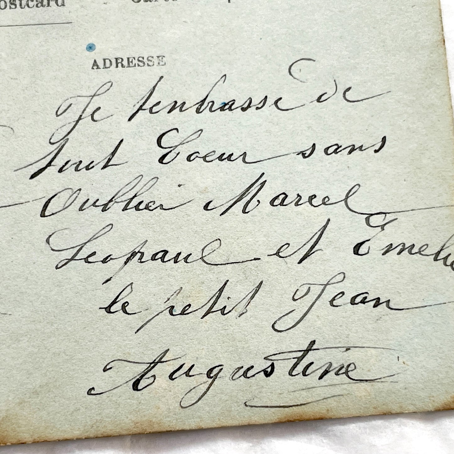 1900s - Vintage French New Year Postcard - Edwardian Woman With Mimosa - Hand Tinted Floral Greeting Card - Collectible Antique Ephemera