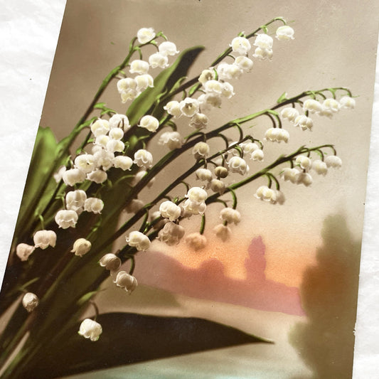 1910s - Vintage French Muguet Postcard - Lily Of The Valley Good Luck Floral Art - Antique Glitter Greeting Card - Collectible Ephemera