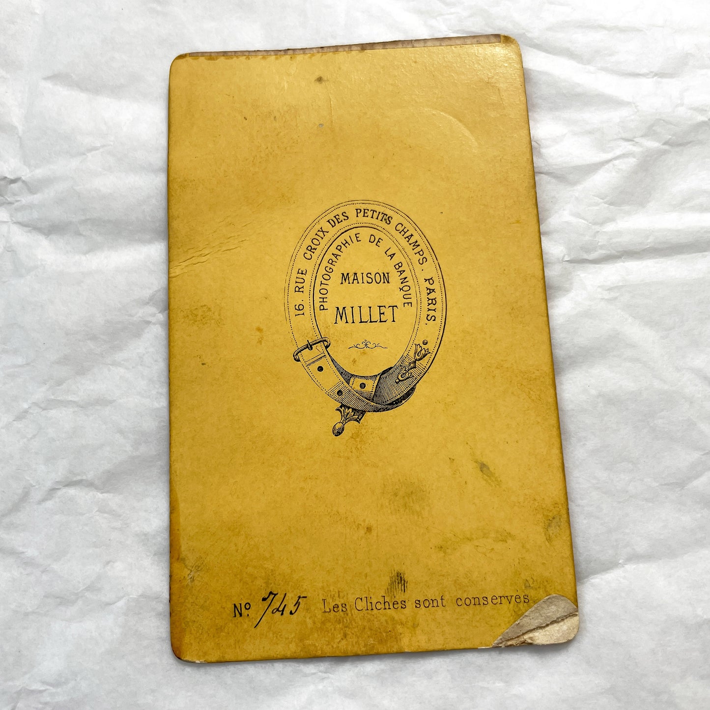 Late 19th - Carte de Visite Portrait - Elegant Young Man In Suit And Bow Tie - Maison Millet Paris Studio Photography - French History