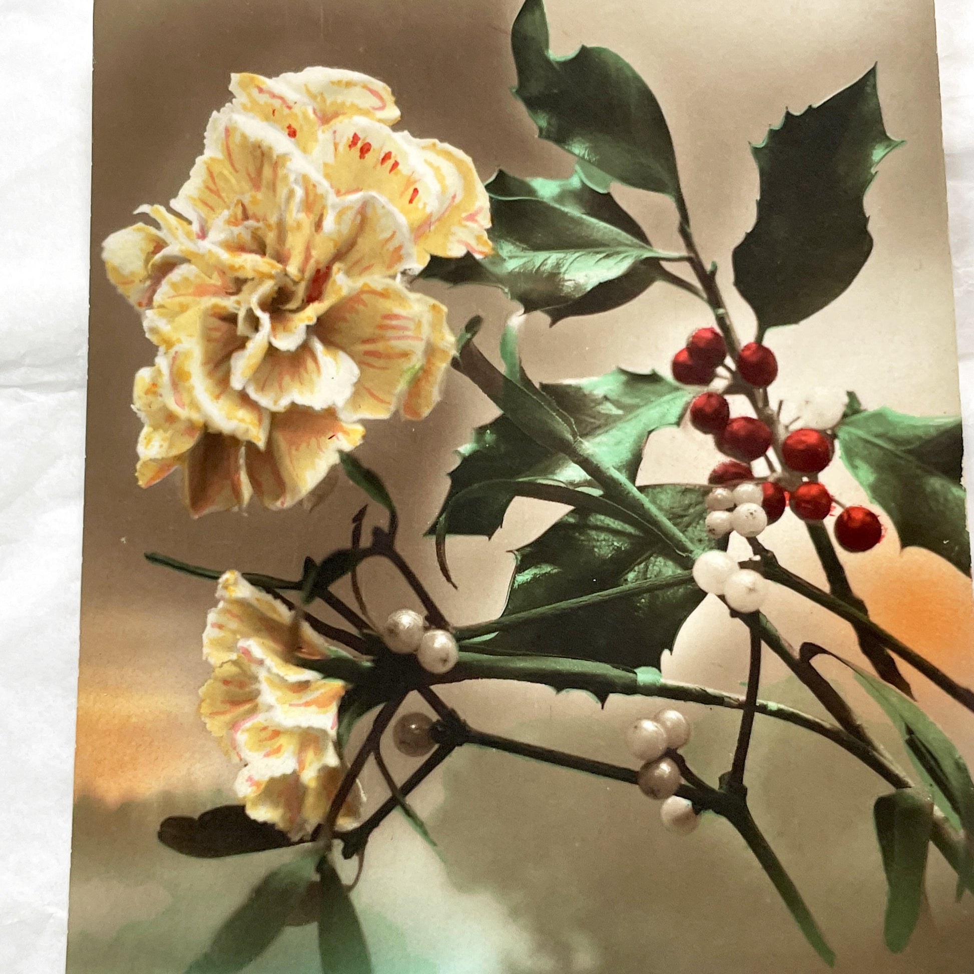1920s - Vintage French New Year Postcard - Floral Design - Holly & Mistletoe Berries - Chromolithography Art - Antique Ephemera