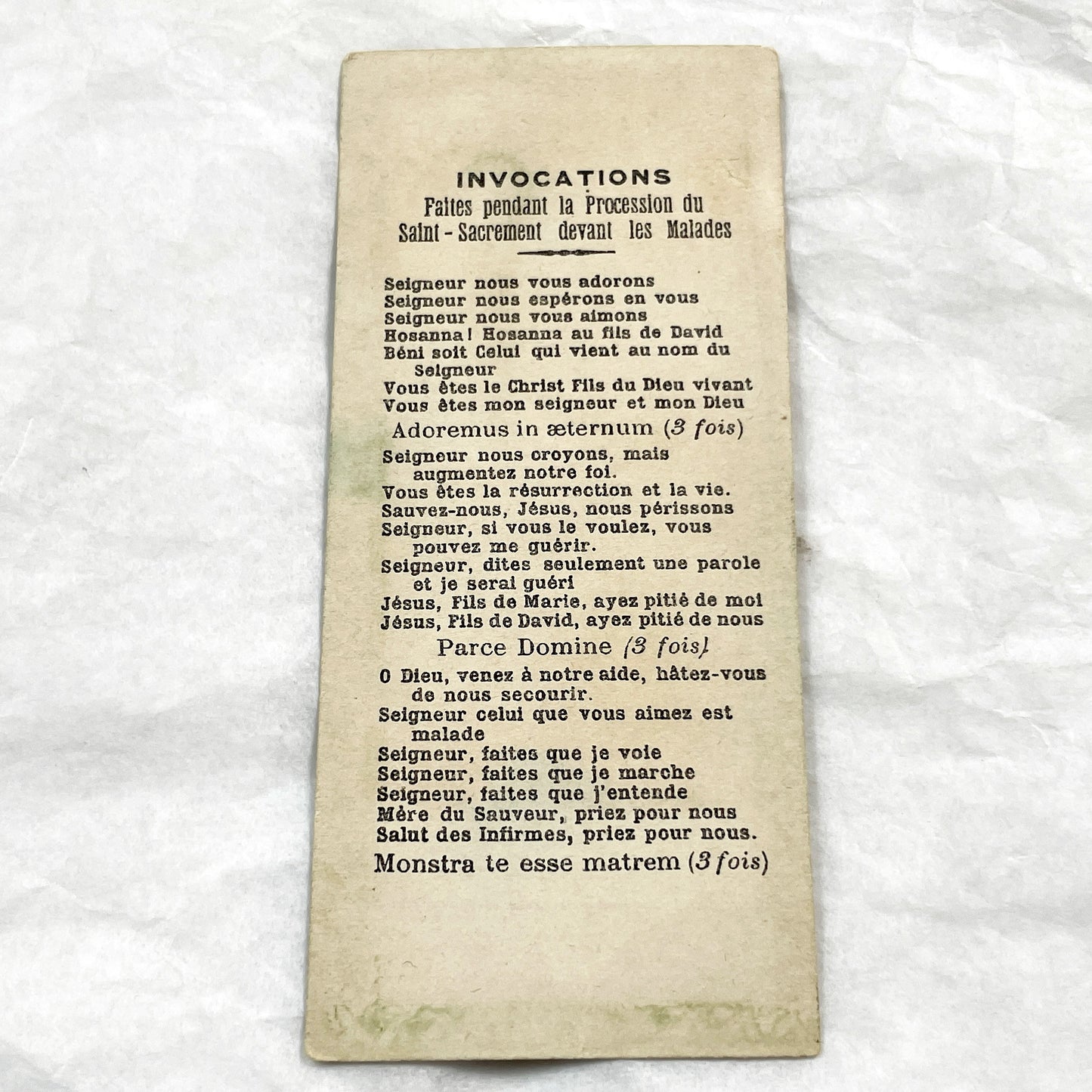 1910s - Vintage Our Lady of Lourdes Holy Card - Saint Bernadette Apparition - French Catholic Prayer Indulgence Card - Antique Devotional