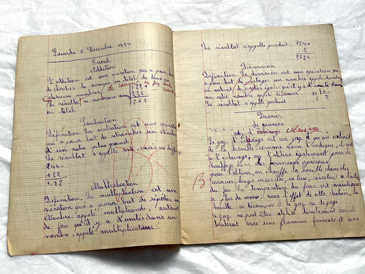 1920s - French School Notebook - Young Girl's Handwritten French Lessons - Authentic Vintage Ephemera Collectible - All Pages Photographed