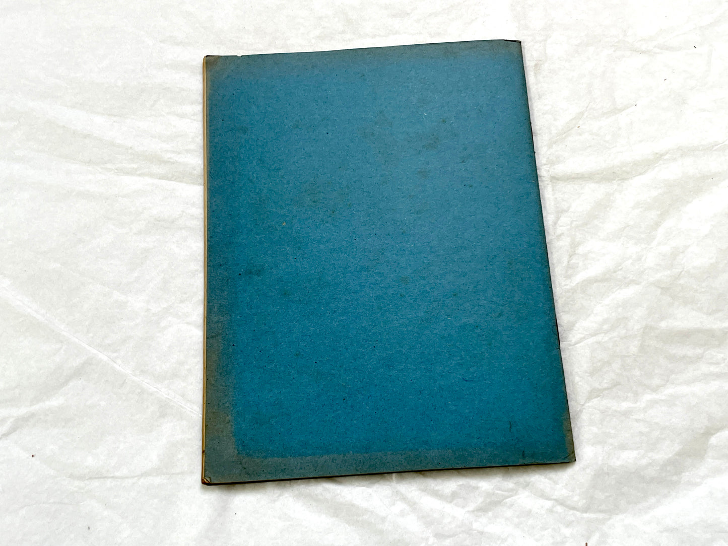1920s - French School Notebook - Young Girl's Handwritten Lessons from 1925 France - Authentic Vintage Educational Ephemera