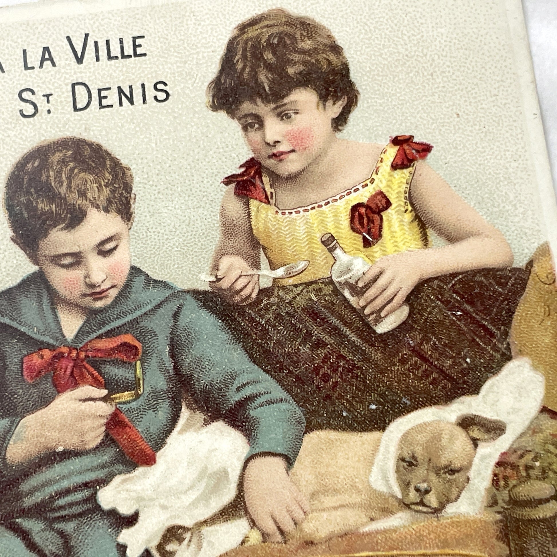 19th-Century French Chromo Print - Children Nursing Sick Dog - Charming Vintage Advertising for St Denis - Antique Domestic Scene