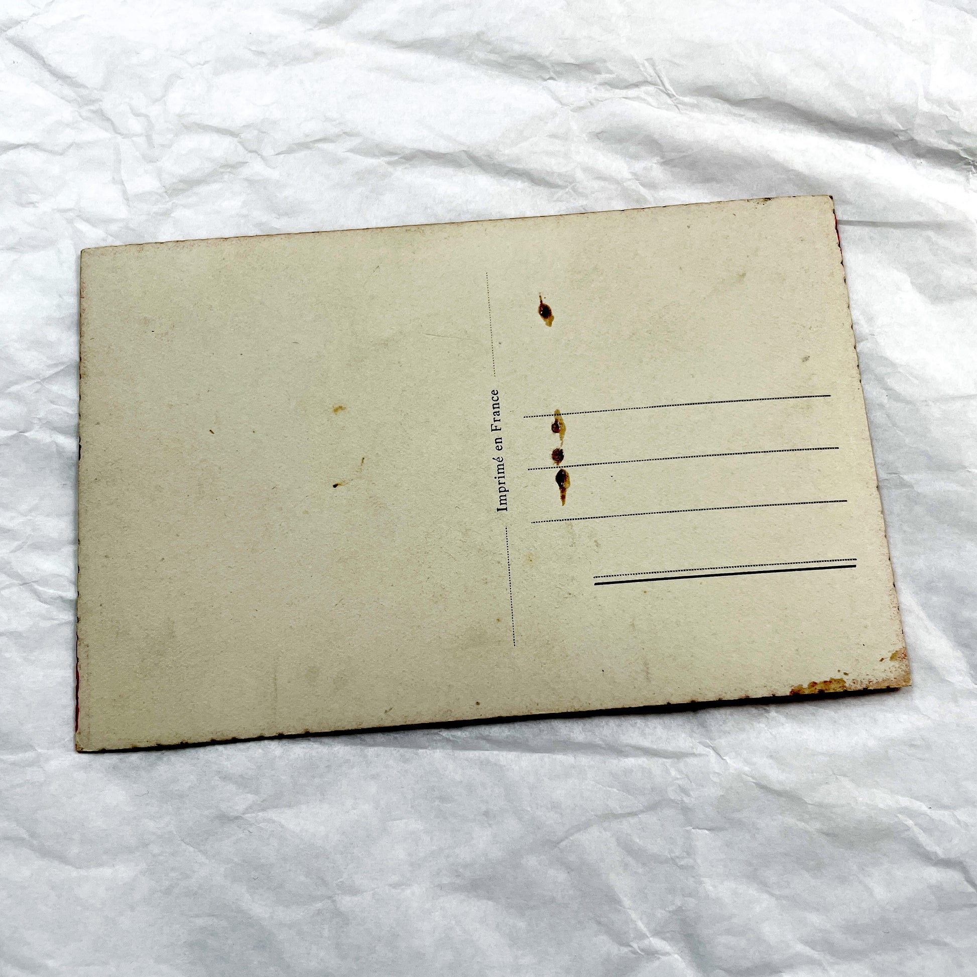 1940s - French Postcard - Romantic Couple Toasting - Cornucopia Abundance - Elegant Sepia Art - Celebratory Decor - Parisian Publisher