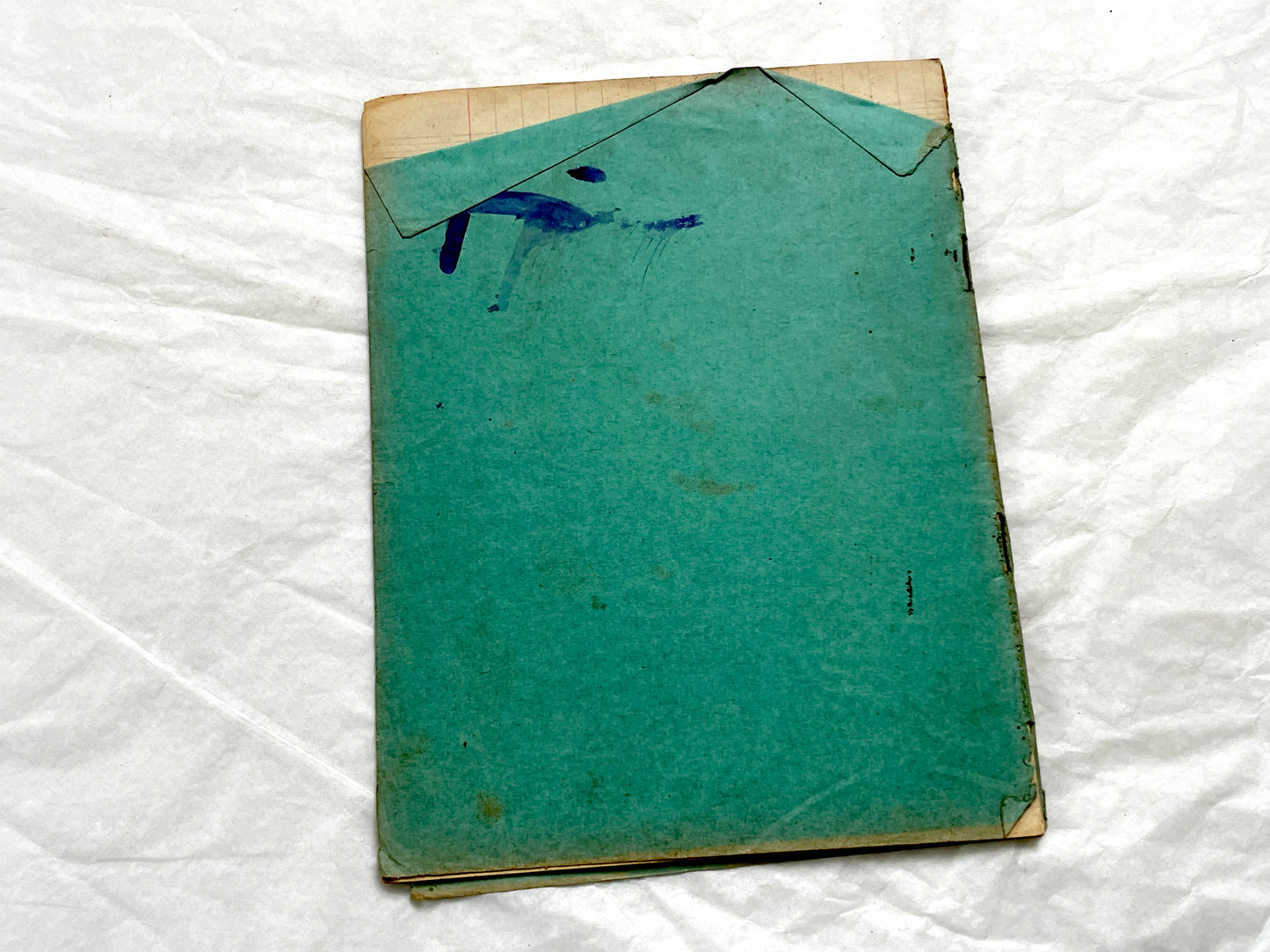 1920s - French School Notebook - Young Girl's Handwritten Daily Exercises - Early 20th Century Educational Ephemera - All Pages Pictured