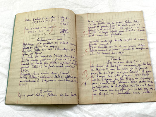 1920s - French School Notebook - Young Girl's Beautiful Handwriting - Vintage Educational Ephemera - French Classroom Memories