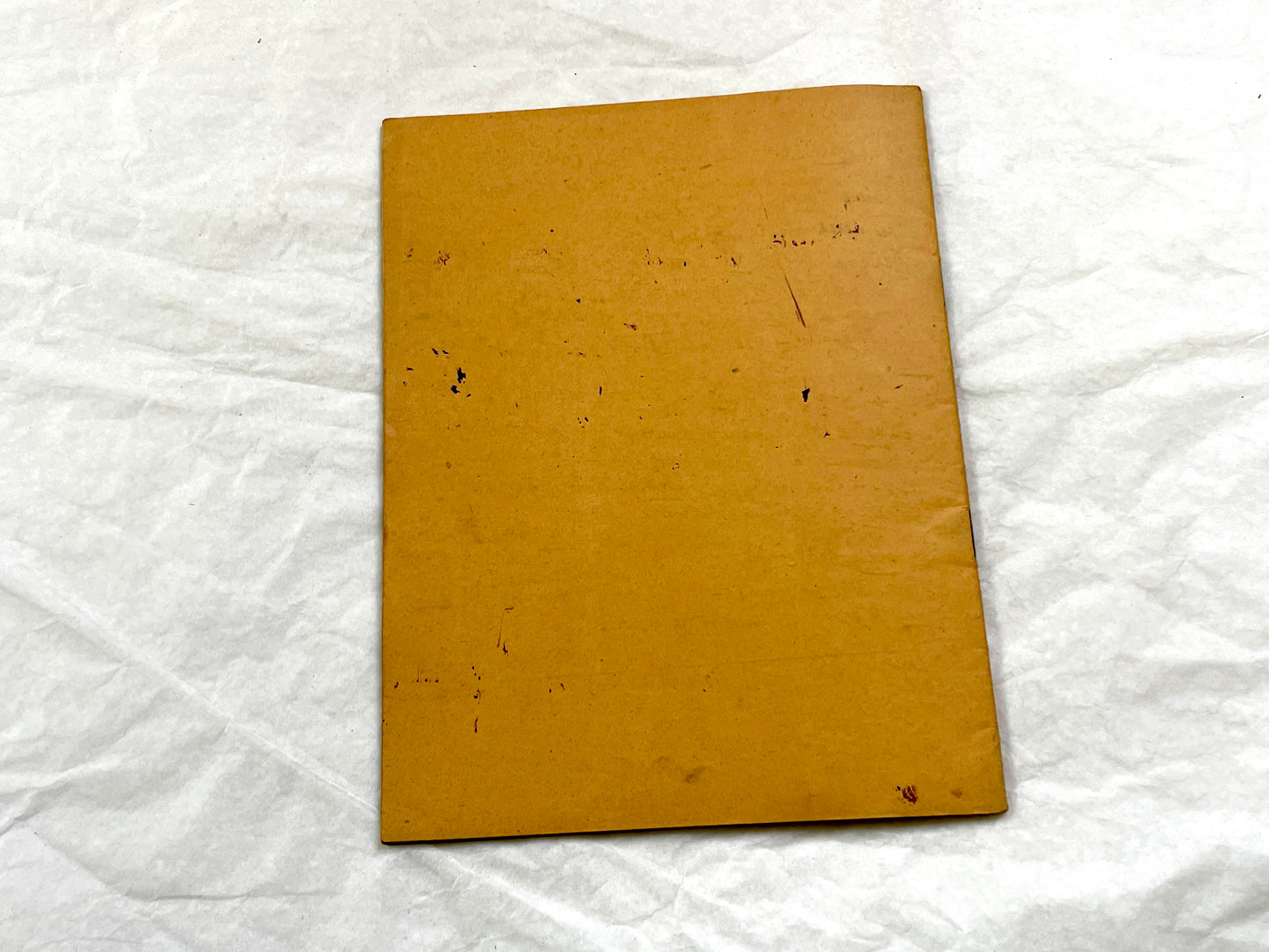 1920s - French School Notebook - Young Girl's Handwritten Lessons - Vintage French Education Ephemera