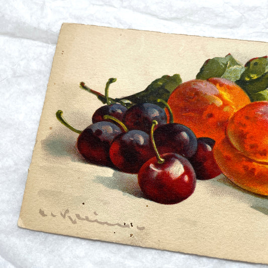 1900s - Antique Postcard - French Fruit Still Life Print