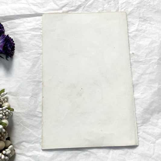 Mid 19th - Original Hand-Colored Monkey Print - Callitriche Monat - Antique Zoology Engraving - Primate Wall Art - Natural History Decor.