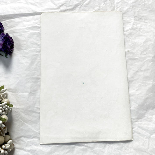 Mid 19th century - Antique Zoology Print - Hand Colored Lithograph Lemur Tarsier Mokoko - Primate Mammal Natural History Illustration