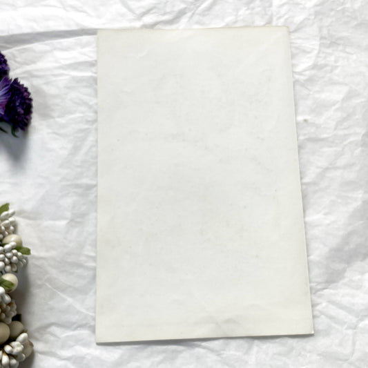 Mid 19th - Original Antique Monkey Print - Travies Zoology Engraving - Howler Spider Monkeys - Natural History Art Wall Decor