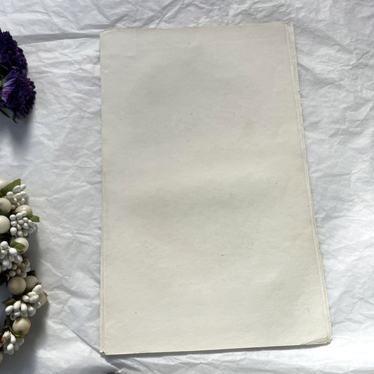 Mid 19th century - Original Hand Colored Wild Boar - Siamese Pig Antique Animal Print - French Zoological Engraving - Natural History Art