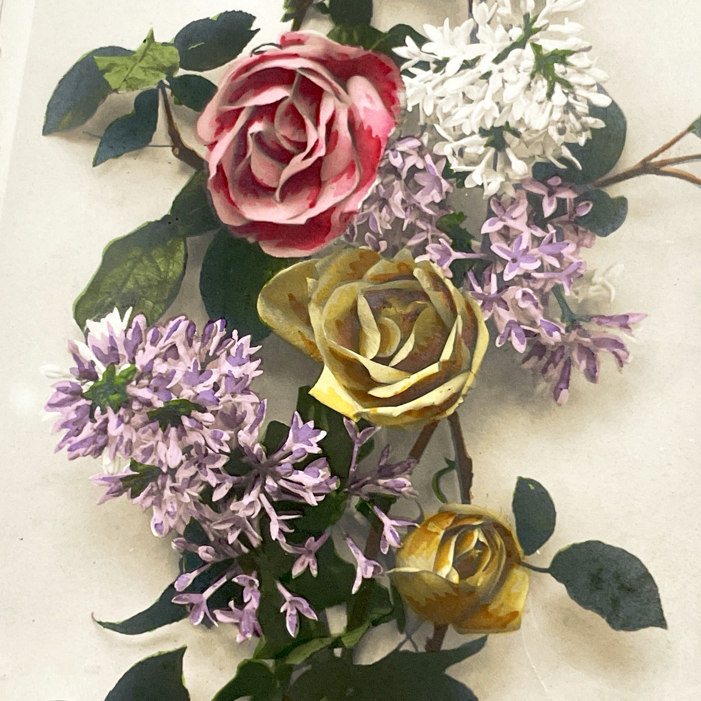 1900s - French Floral Postcard - Roses and Lilacs Bouquet - Vintage Flower Greeting Card - Ephemera Art Print - Bonnet Phot.