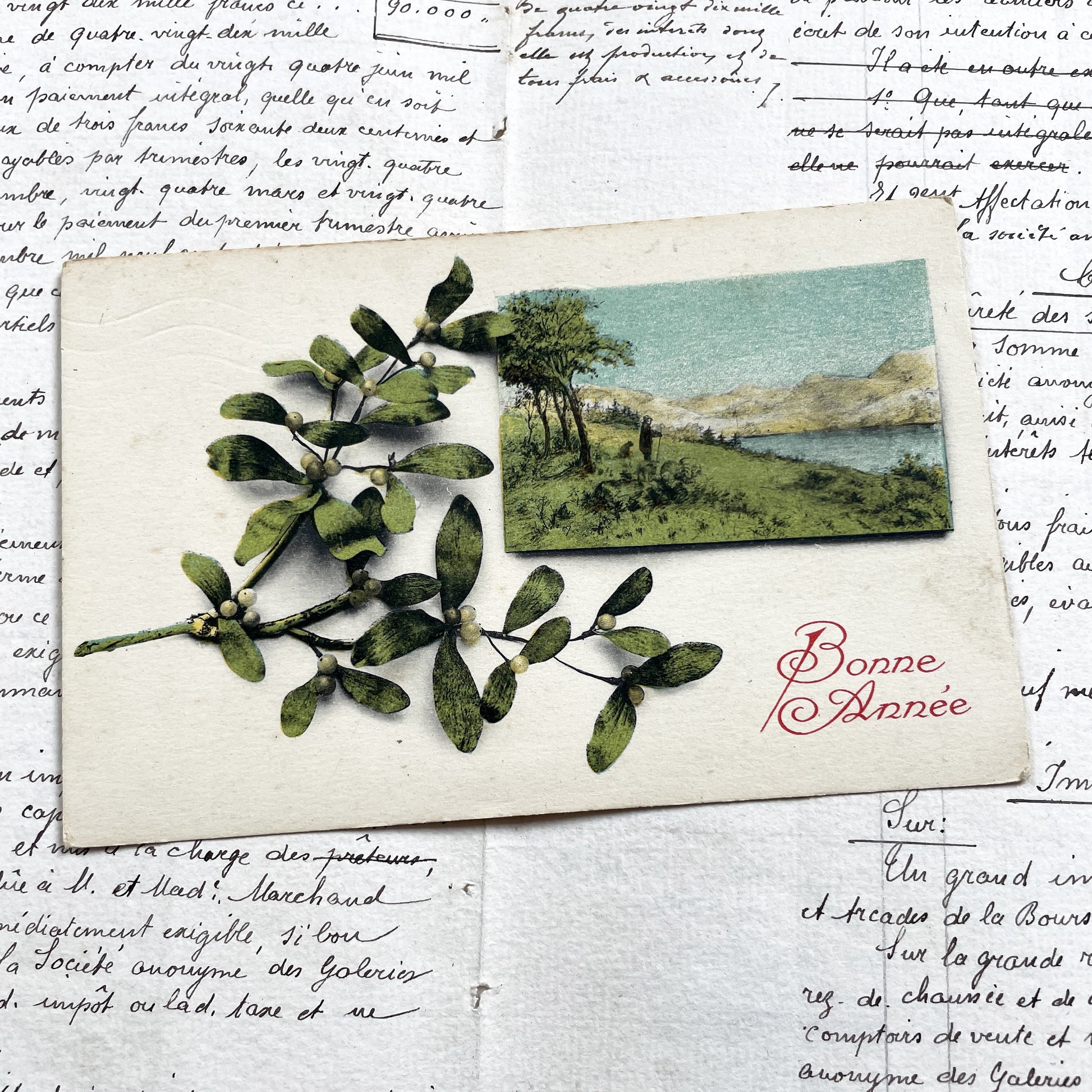 1900s - Antique French New Year Postcard - Mistletoe Design - Vintage Landscape Vignette - Handwritten Document Ephemera