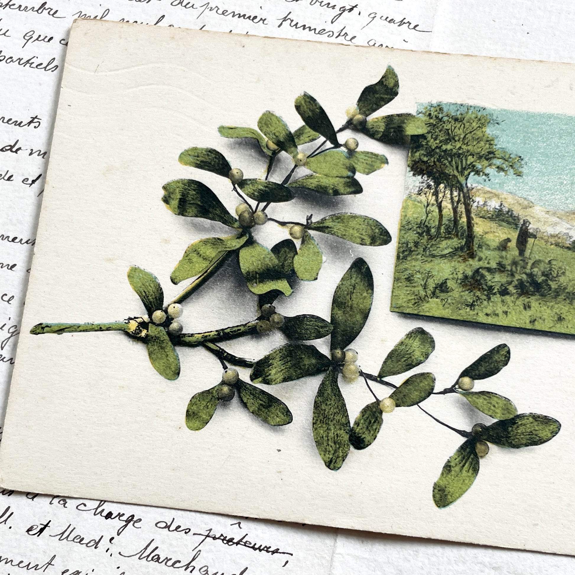 1900s - Antique French New Year Postcard - Mistletoe Design - Vintage Landscape Vignette - Handwritten Document Ephemera