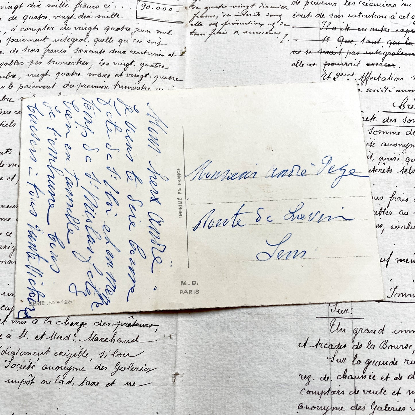 1950s - French Flowers Postcard - Vibrant Carnations Mimosa Flowers - Blank Scroll Design - Collectible Paper Ephemera