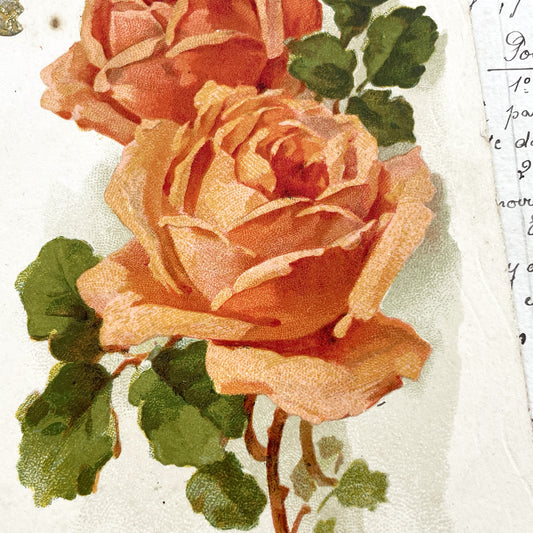 1920s - Antique Floral Chromo - Roses Botanical Ephemera - Vintage Paper Art Scrapbook Supply - Romantic Red Roses