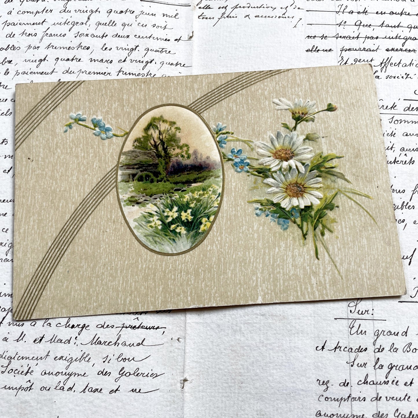 1900s - Antique Embossed Floral Postcard - Landscape Vignette - White Daisies - Forget-Me-Nots - Serene Nature Art Print