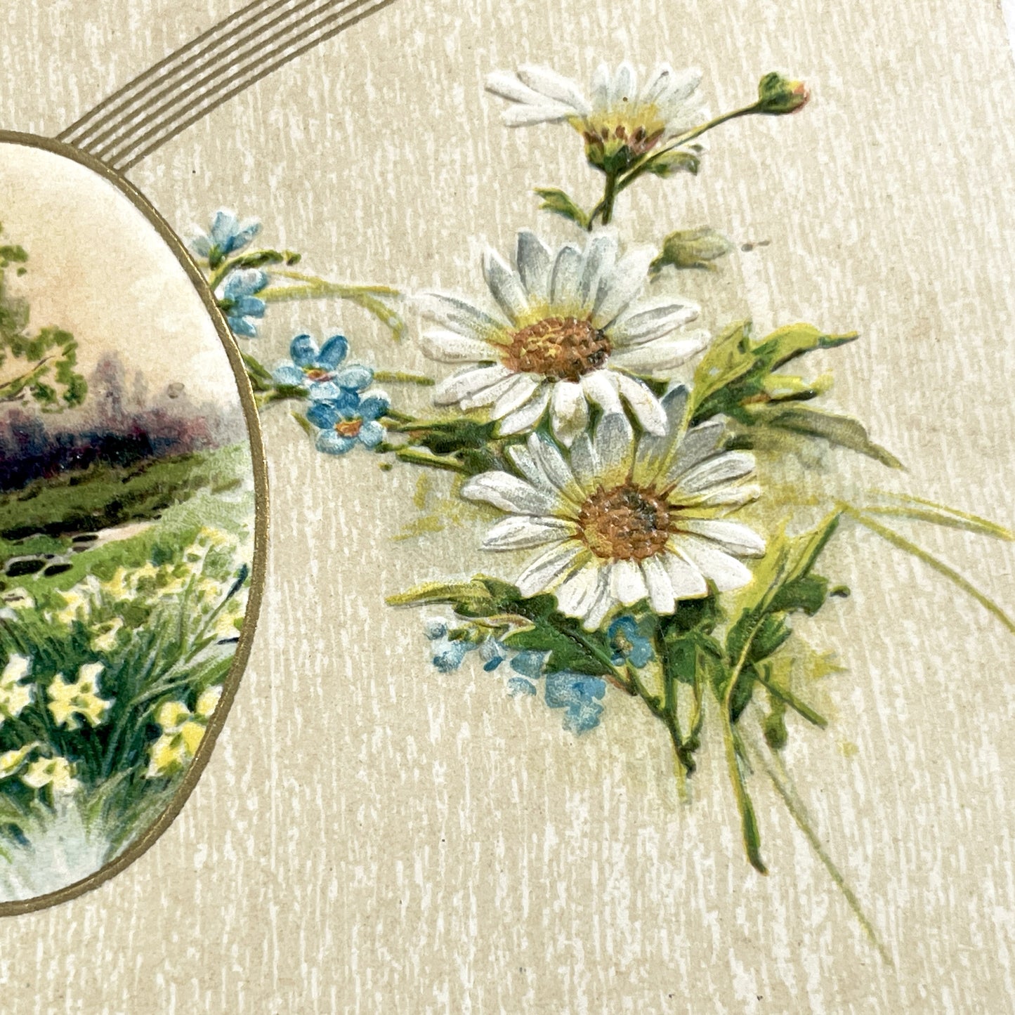 1900s - Antique Embossed Floral Postcard - Landscape Vignette - White Daisies - Forget-Me-Nots - Serene Nature Art Print
