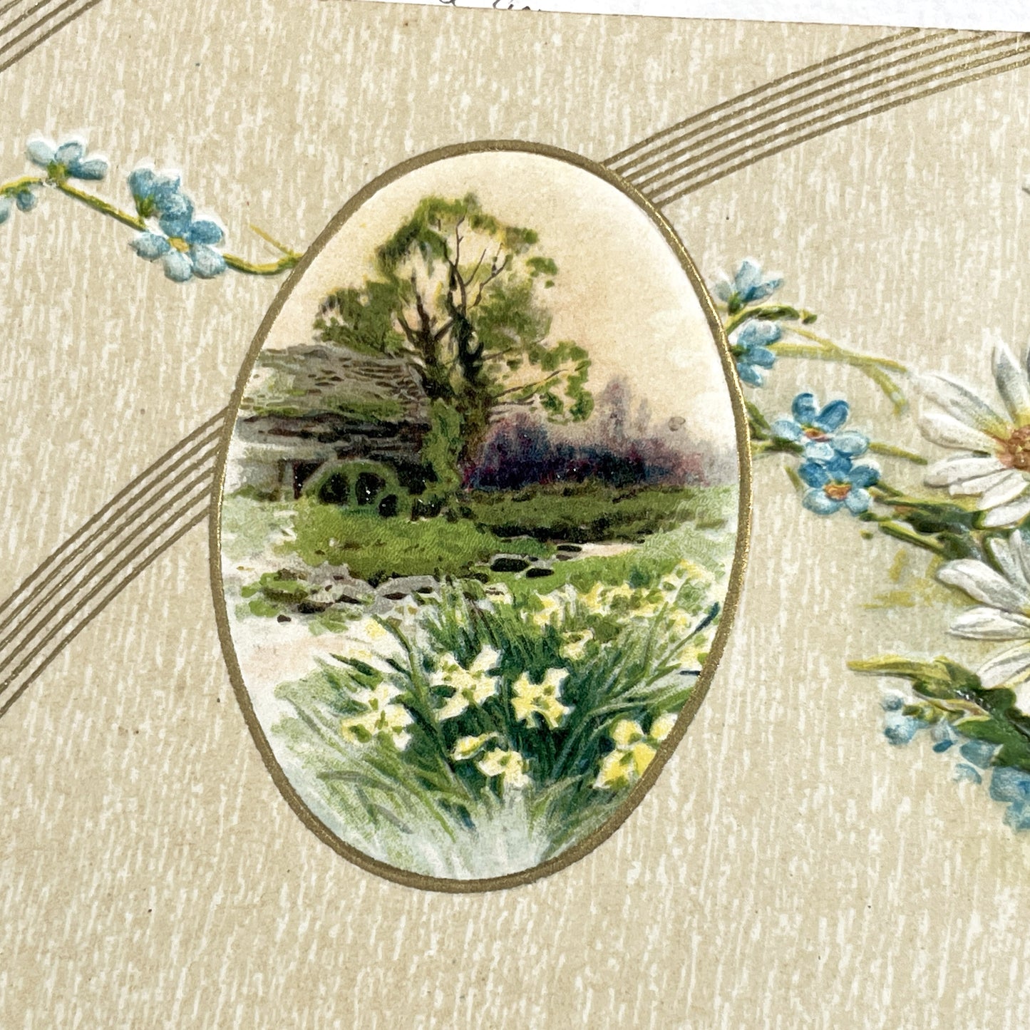 1900s - Antique Embossed Floral Postcard - Landscape Vignette - White Daisies - Forget-Me-Nots - Serene Nature Art Print
