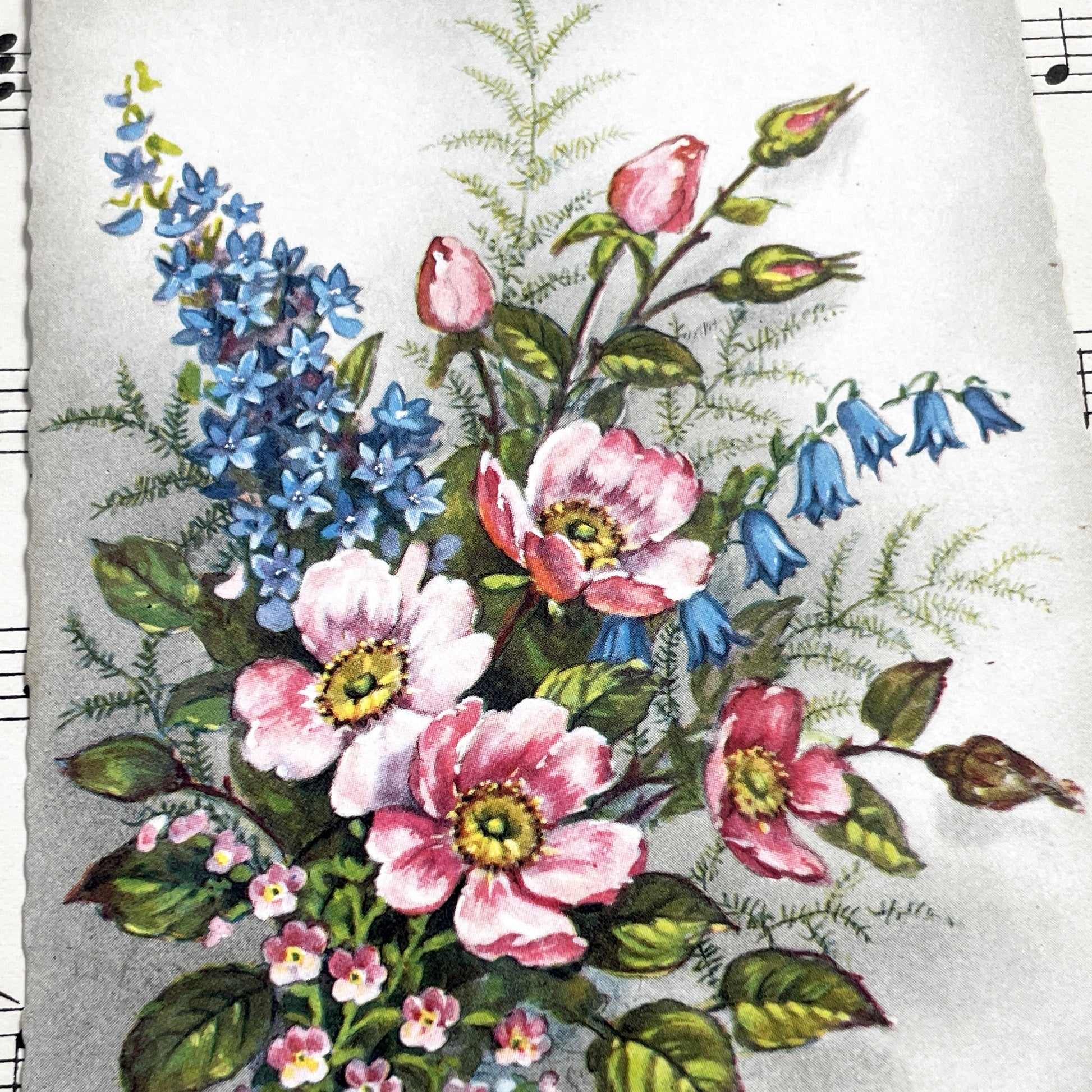 1950s - Three French Flowers Postcards - Sainte Catherine Card - Floral Art Prints - Ephemera Collectible