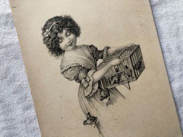 Belgium postcard with beautiful illustration representing young girl releasing small birds from their cage - 1910s