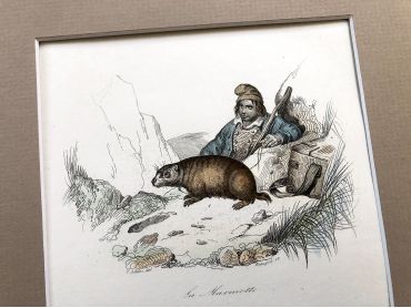 French engraving representing two large rodents and a hunter by the drawer Victor Adam