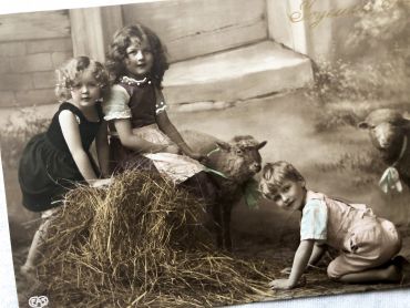 Vintage Belgian postcard representing three children on the farm