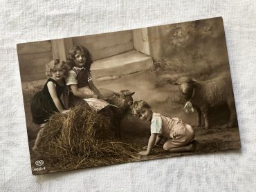 Vintage Belgian postcard representing three children on the farm