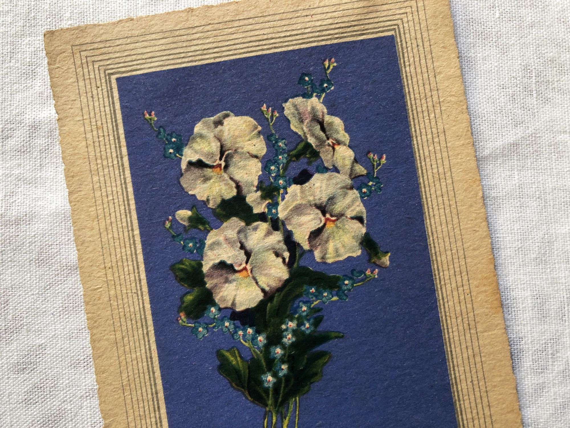 French postcard with a flower and the inscription "Bonne fête" from 1940s