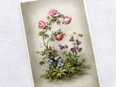 Vintage French postcard with some flowers from 1950s