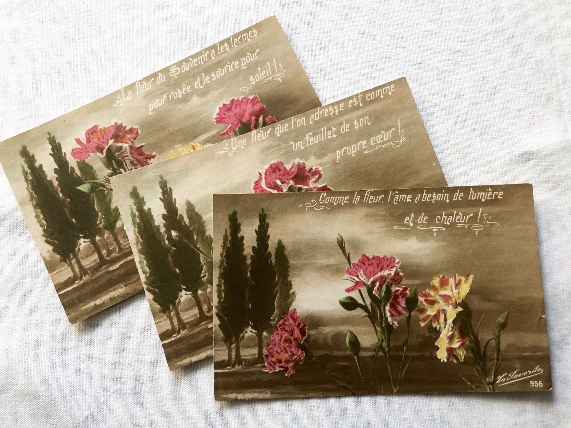 3 French postcards with sentimental thoughts on flowers from 1920s