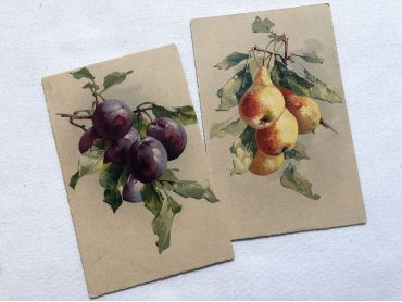 Two postcards representing pears and plums from 1900s