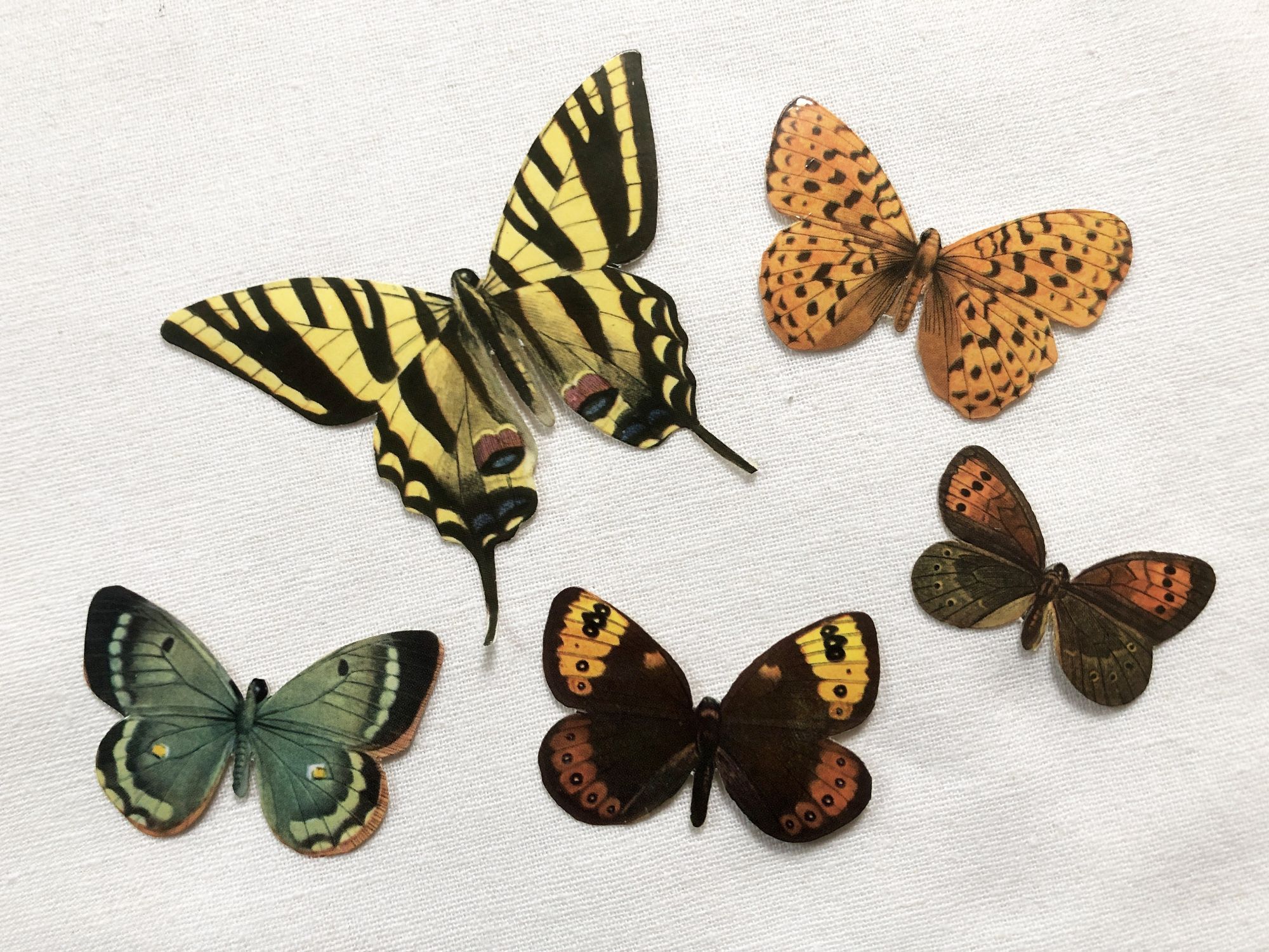 Sets of 5 sticky advertising butterflies from a French biscuit company in the 1960s