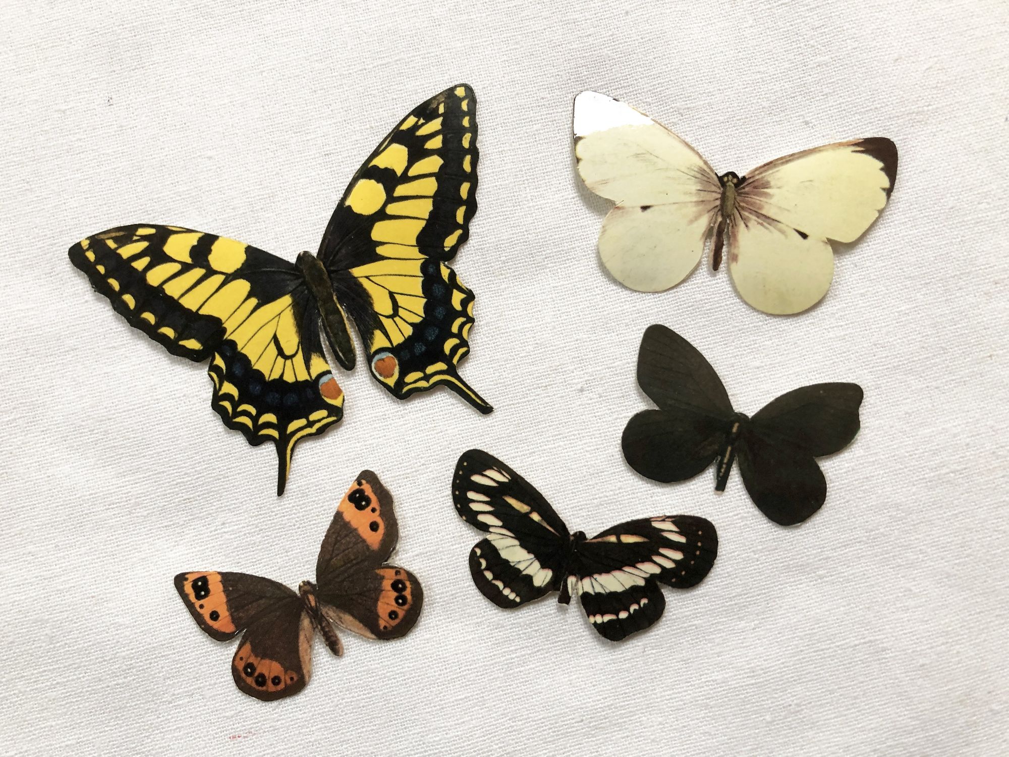 Sets of 5 sticky advertising butterflies from a French biscuit company in the 1960s