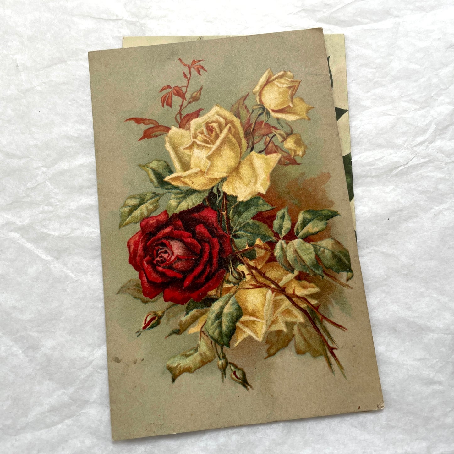 1900s antique postcard lot with French floral design, featuring red, pink, and yellow roses. Vintage paper ephemera.