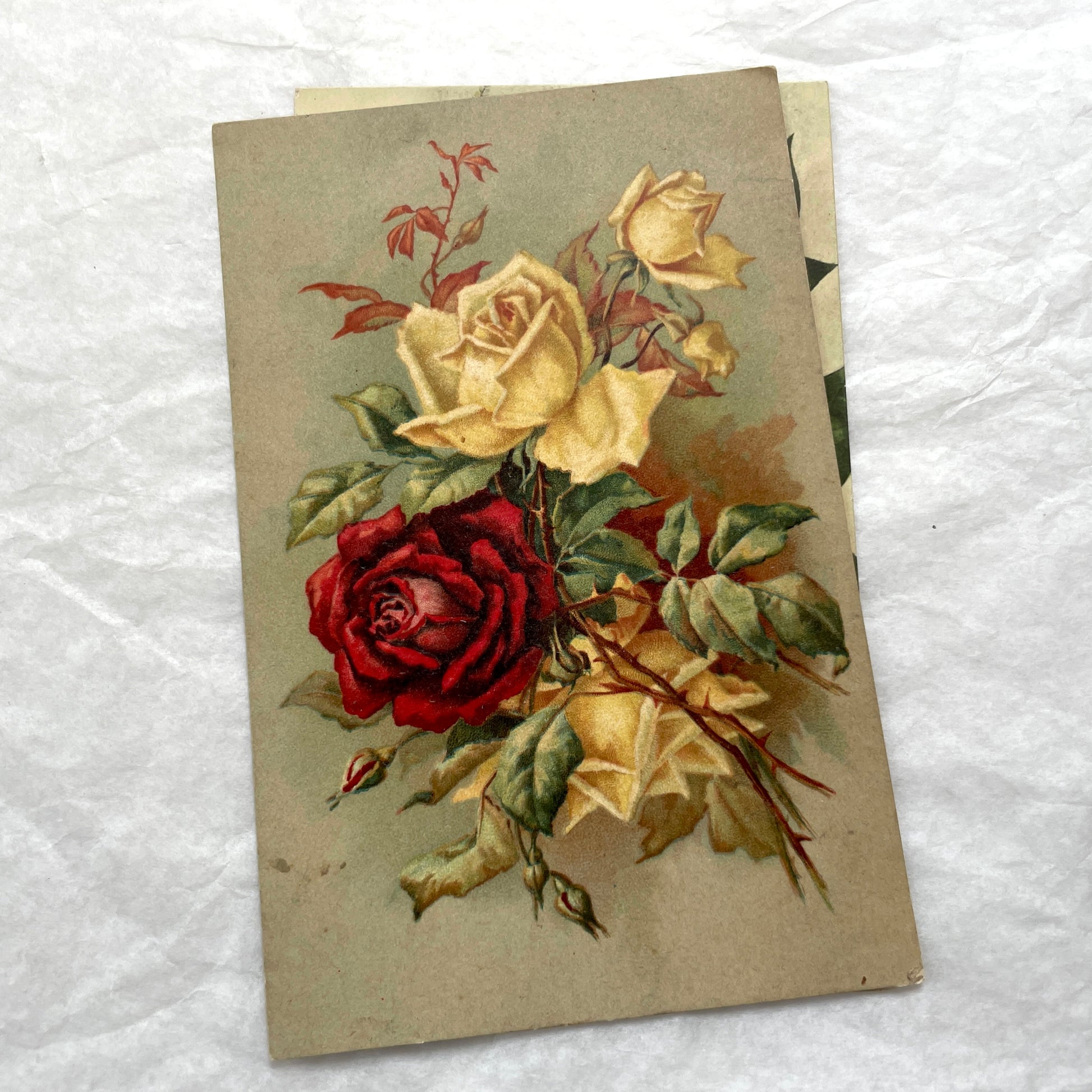 1900s antique postcard lot with French floral design, featuring red, pink, and yellow roses. Vintage paper ephemera.