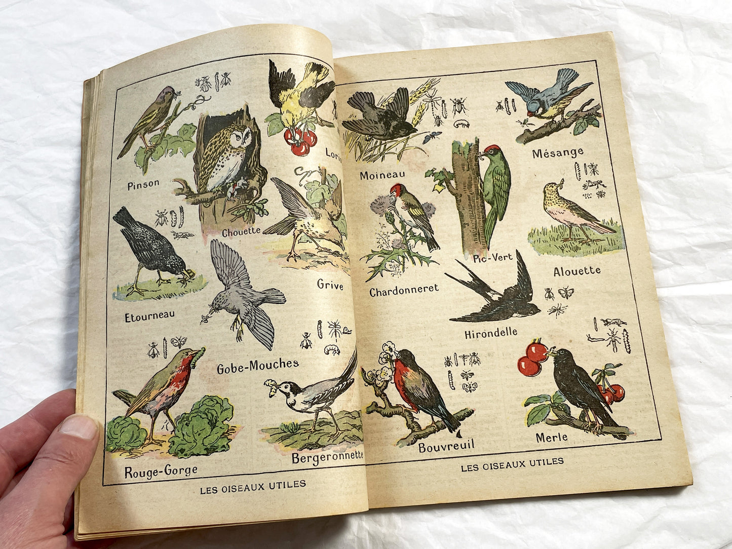 1920s - Rare 1925 French Catholic Almanac - Illustrated Religious Vintage Book - La Bonne Presse Publishing Ephemera - Historical Document